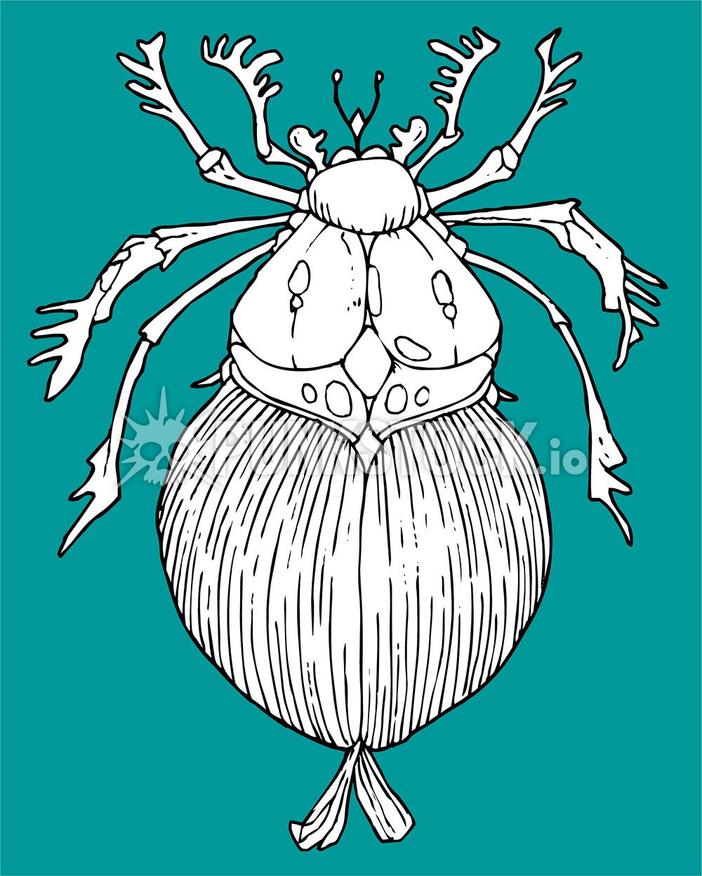 Bug #insect bugs vector graphic