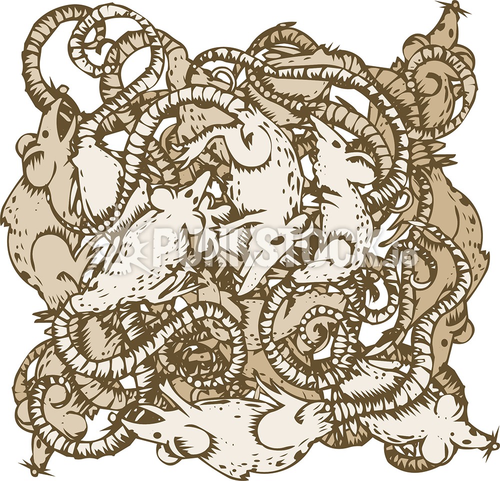 Rat rats mice vector graphic