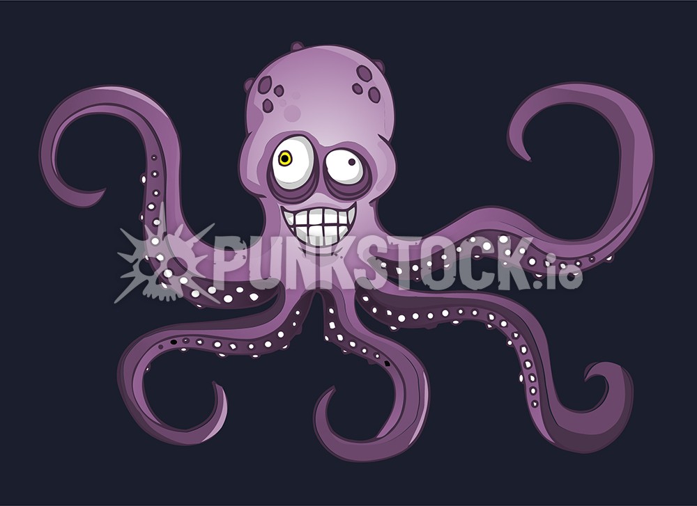 Squid squids octopus vector graphic