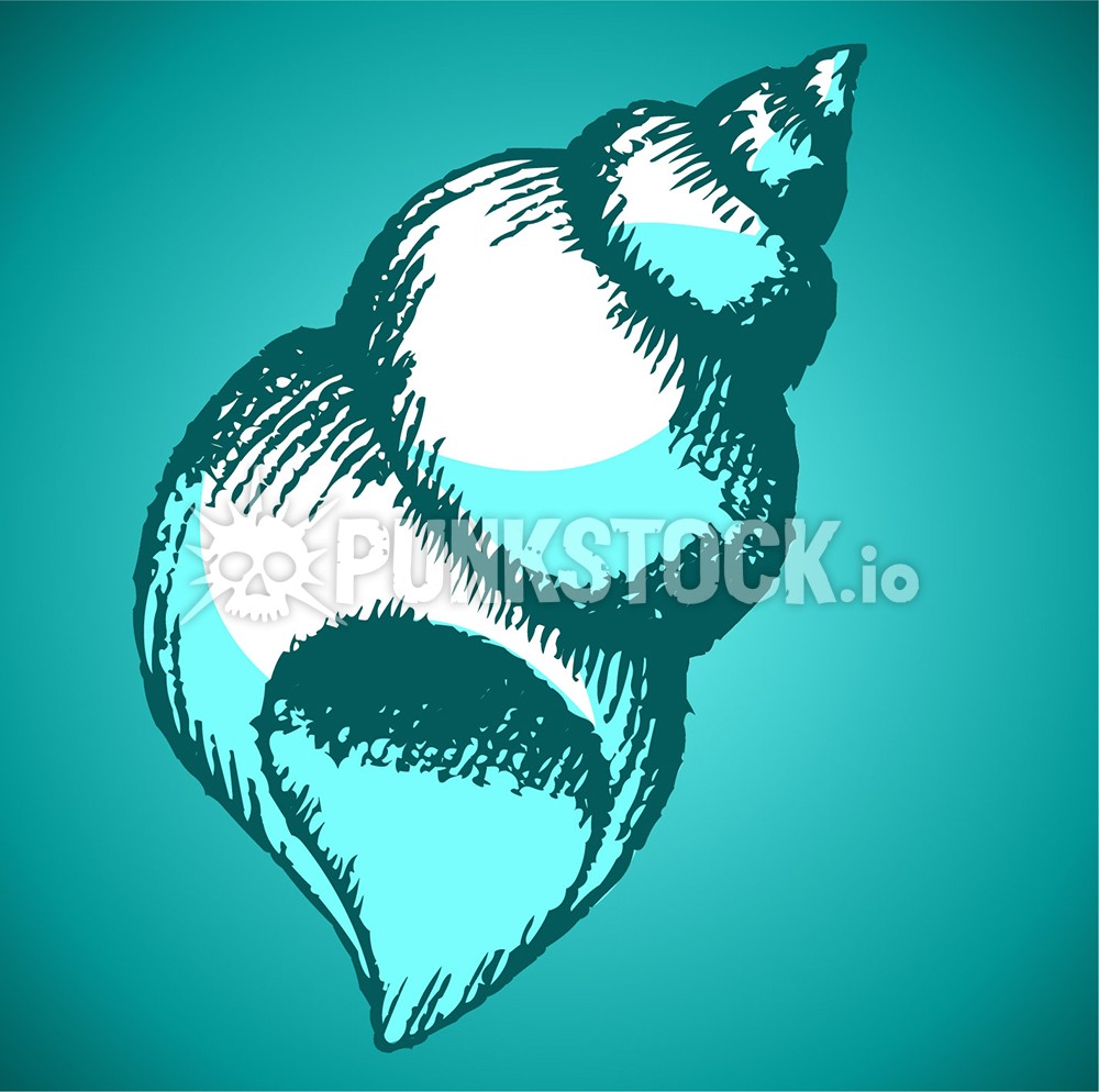 Sea shell sea shells sketch vector graphic