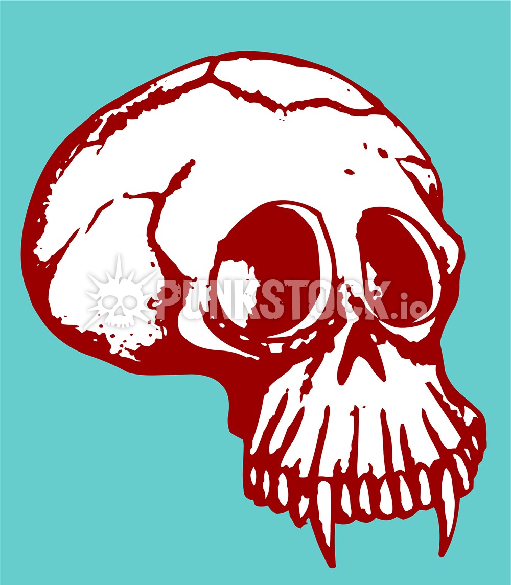 Vampire skull skulls vector graphic