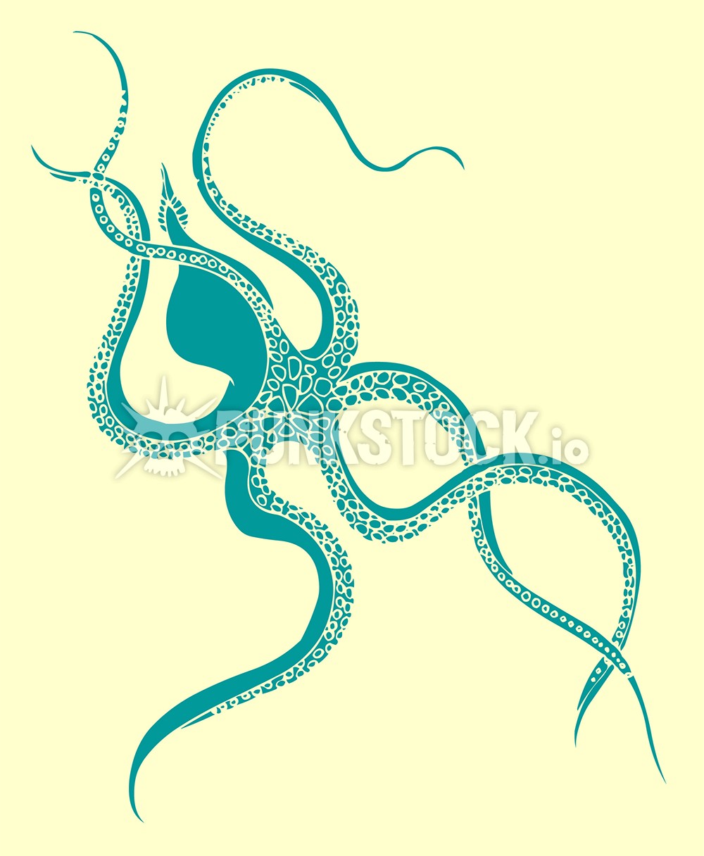 Squid squids octopus vector graphic