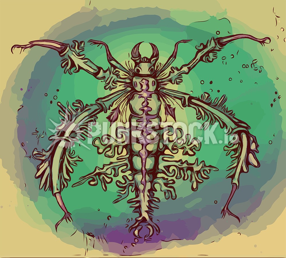 Bug insect bugs vector graphic