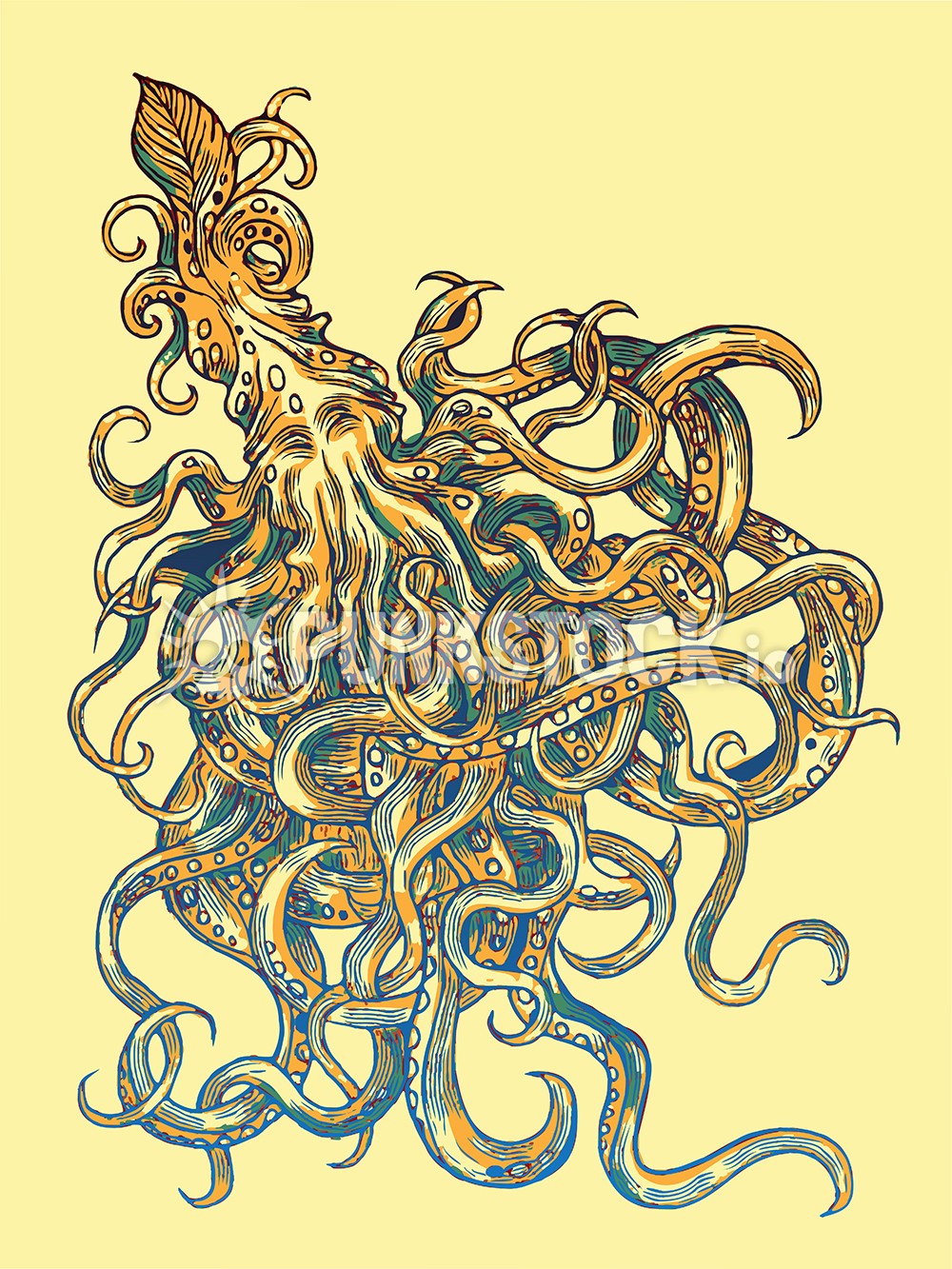 Squid squids octopus vector graphic