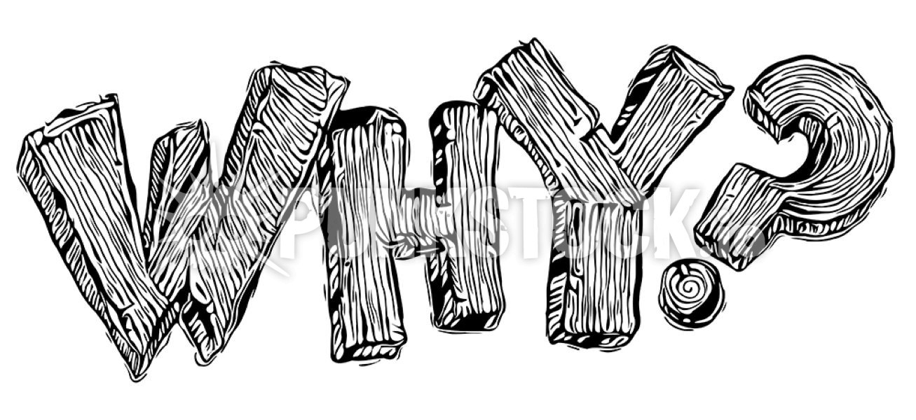 Sketch doodle drawing vector graphic