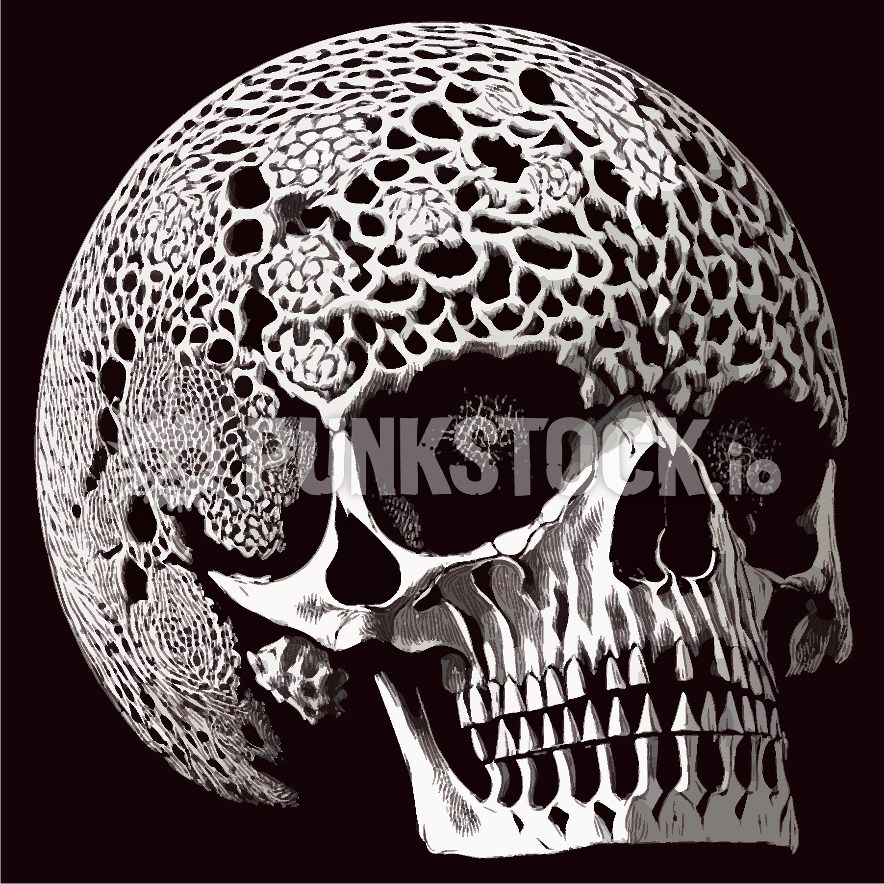Skull skulls intricate vector graphic