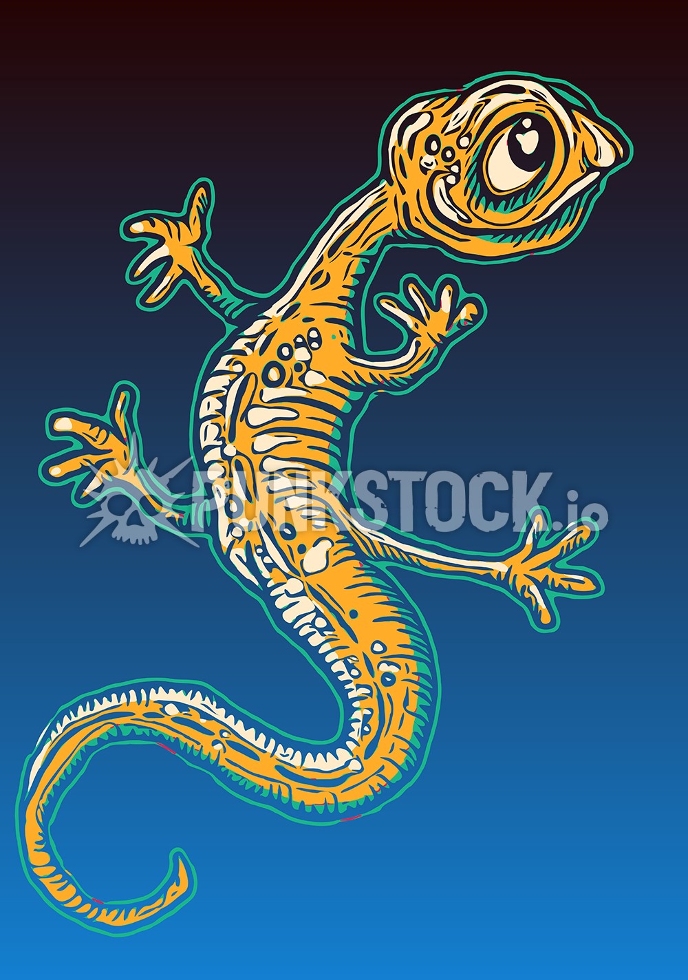 Salamander salamanders gecko vector graphic