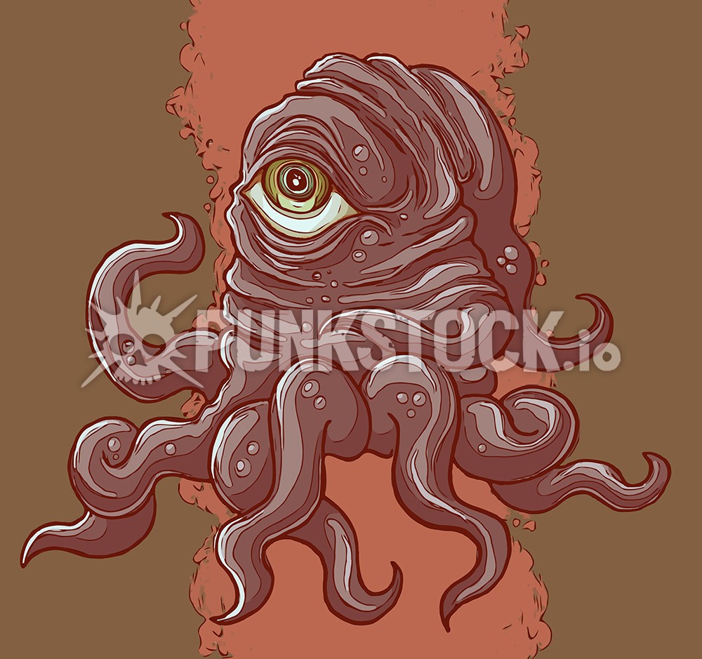 Squid squids octopus vector graphic