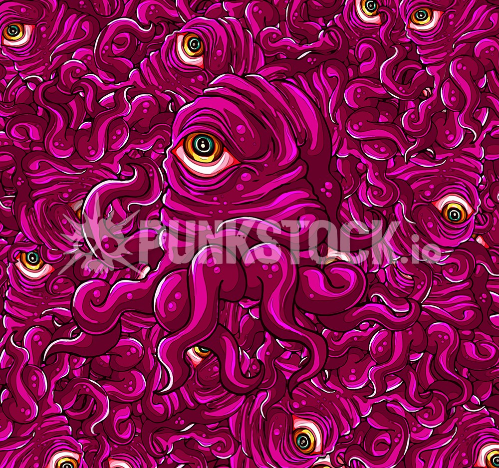 Squid squids octopus vector graphic