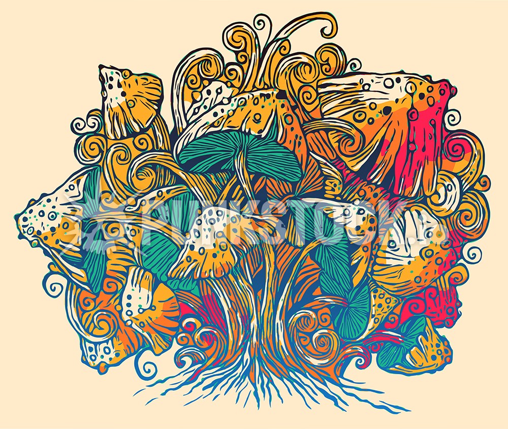 Sketch doodle drawing vector graphic