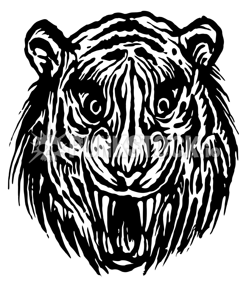Tiger wild beast vector graphic