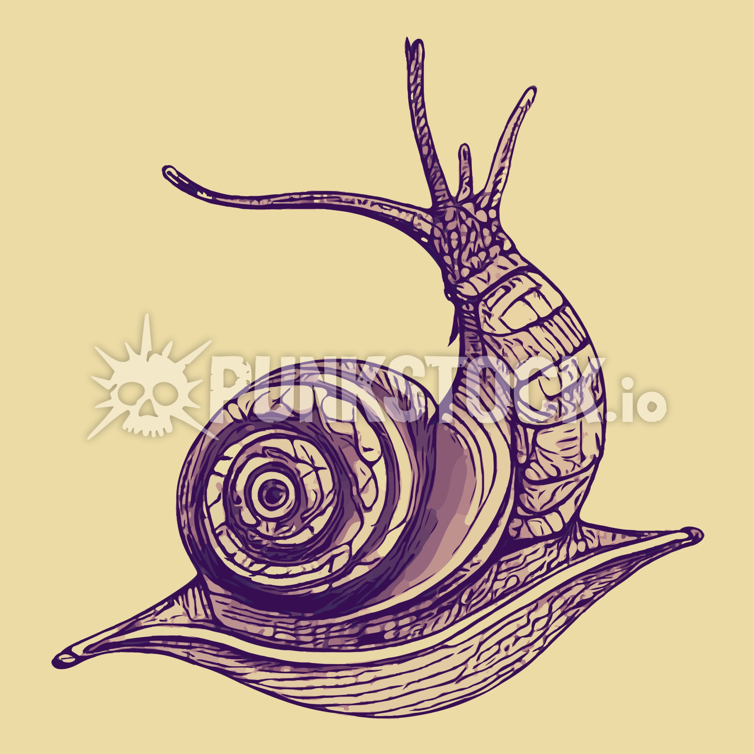 Snail snails slug vector graphic