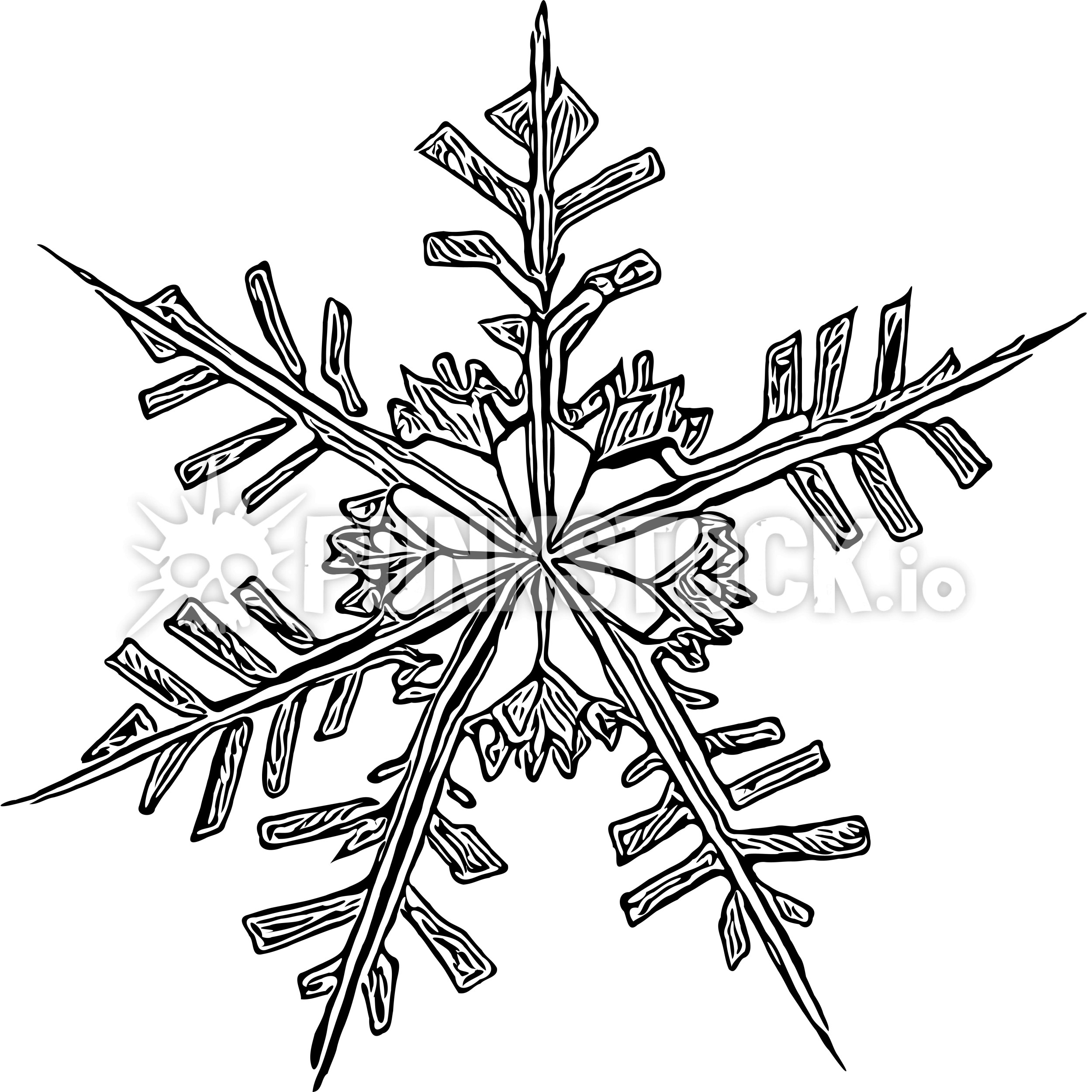Snowflake snow flake vector graphic