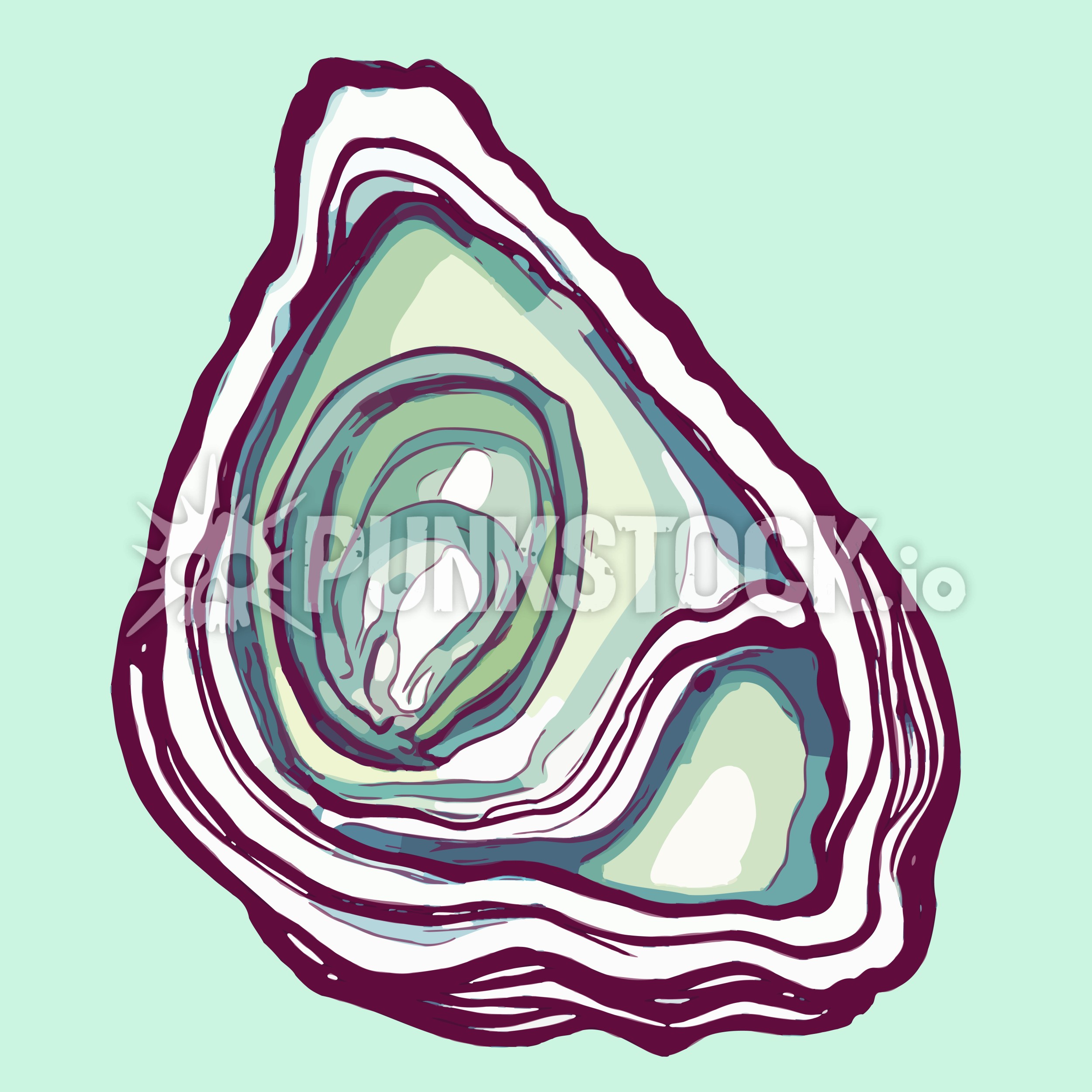 Pearl oyster shell vector graphic