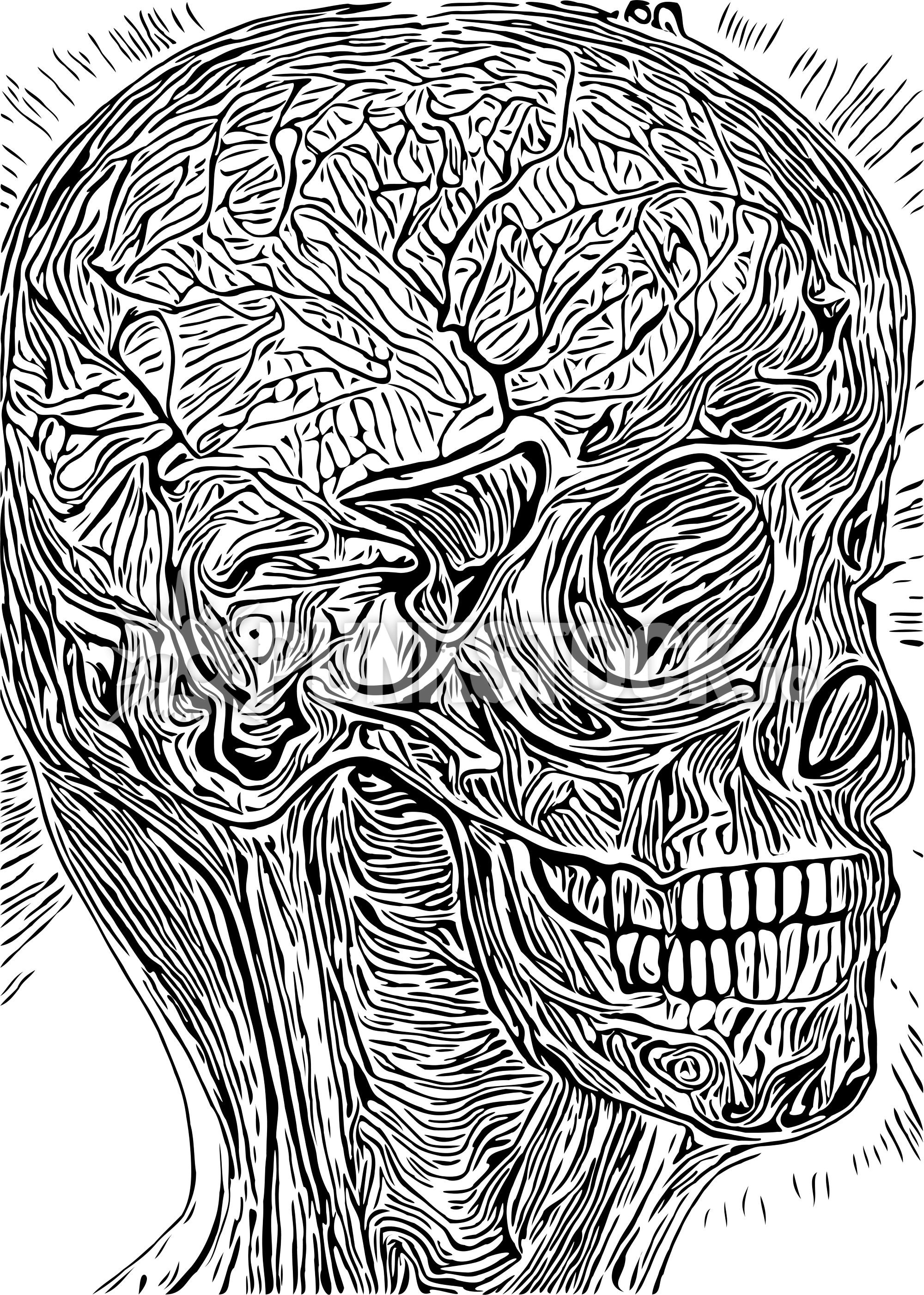 Face head lines vector graphic