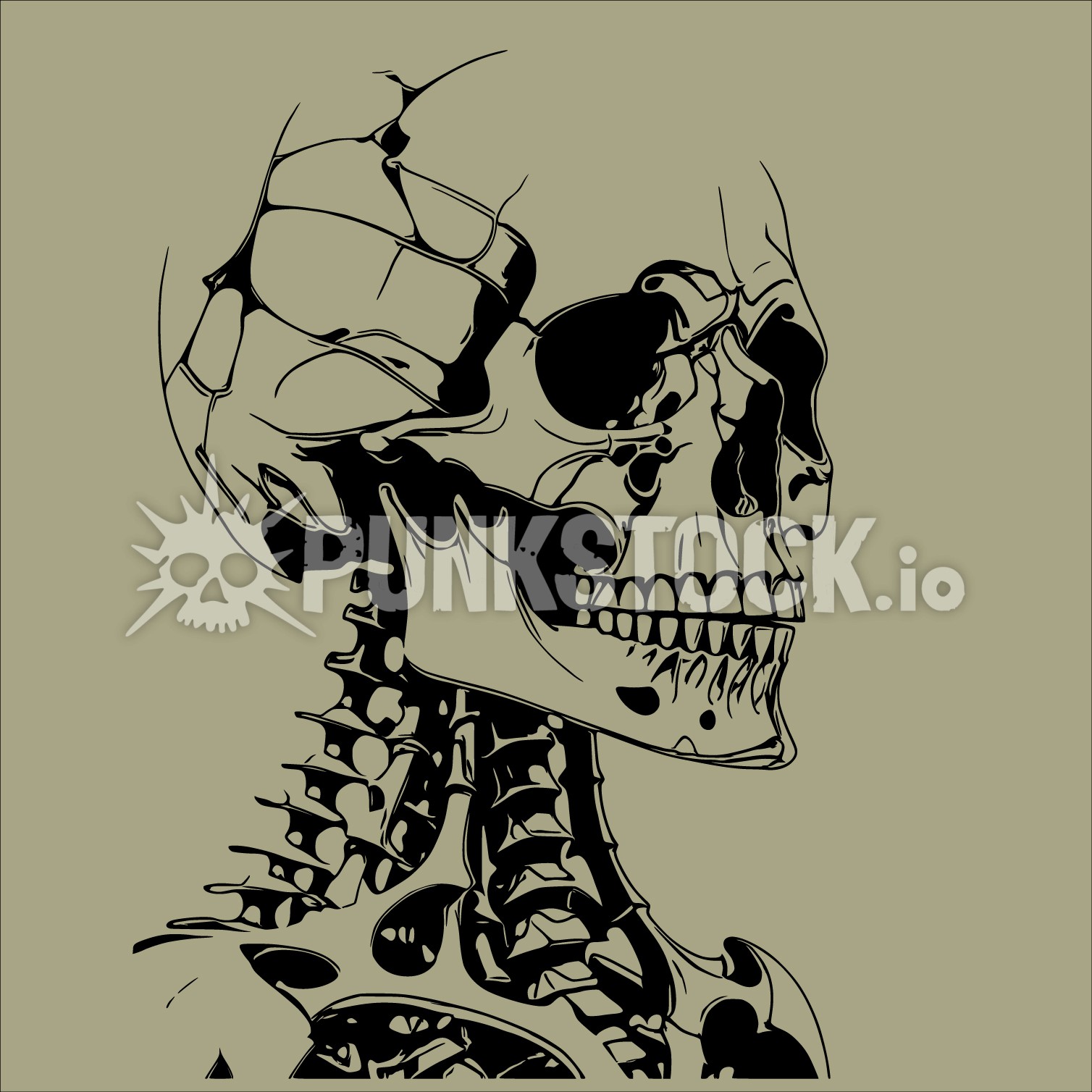Skull skeleton spine vector graphic