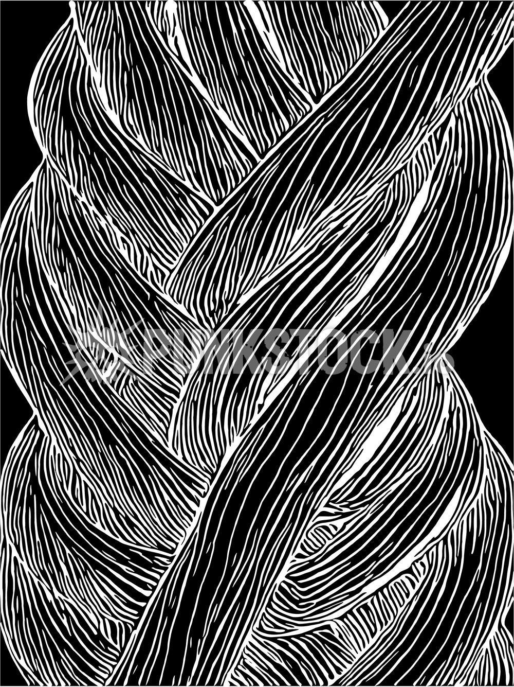 Braids braid braided vector graphic