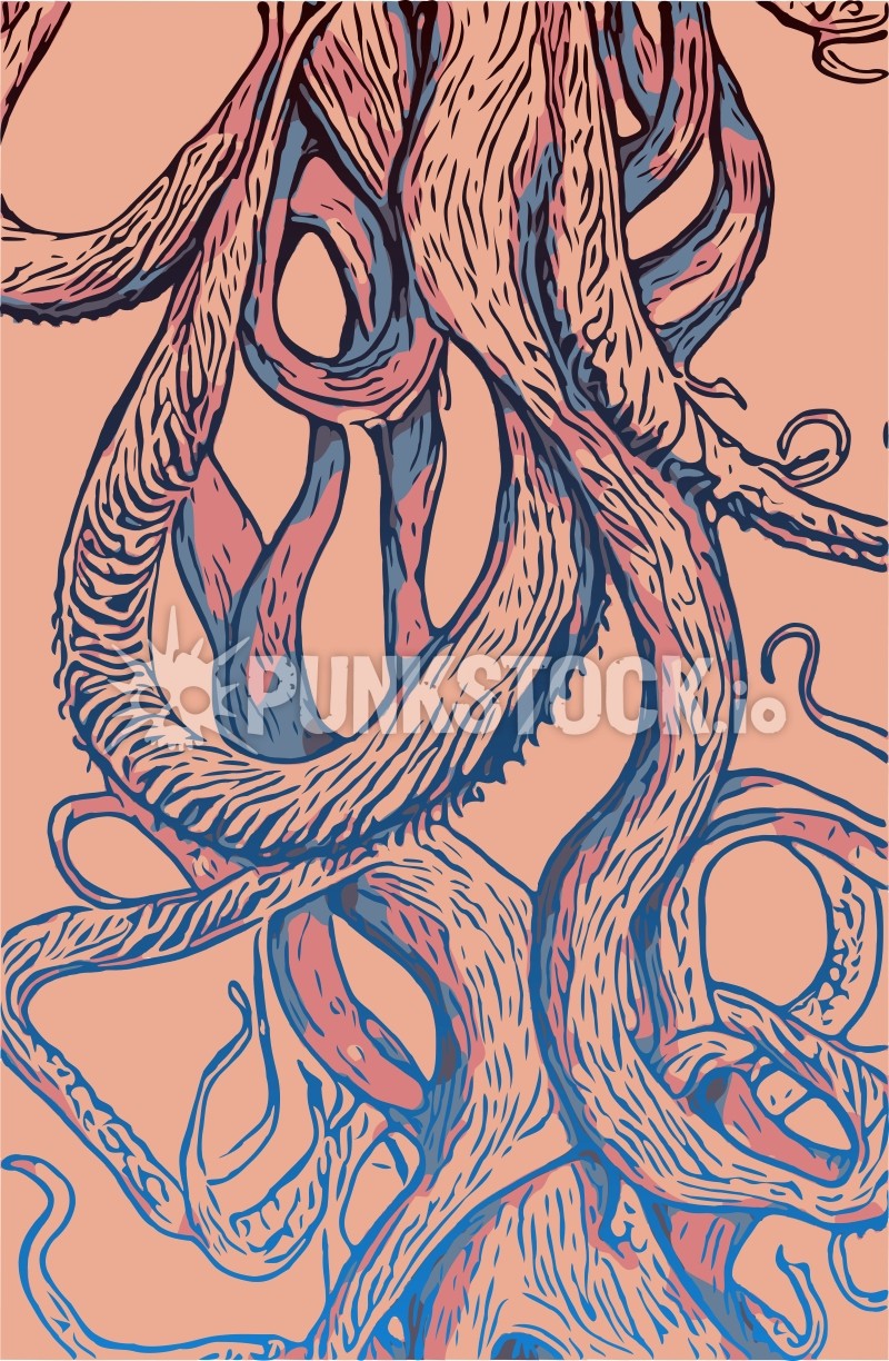 Squid squids octopus vector graphic