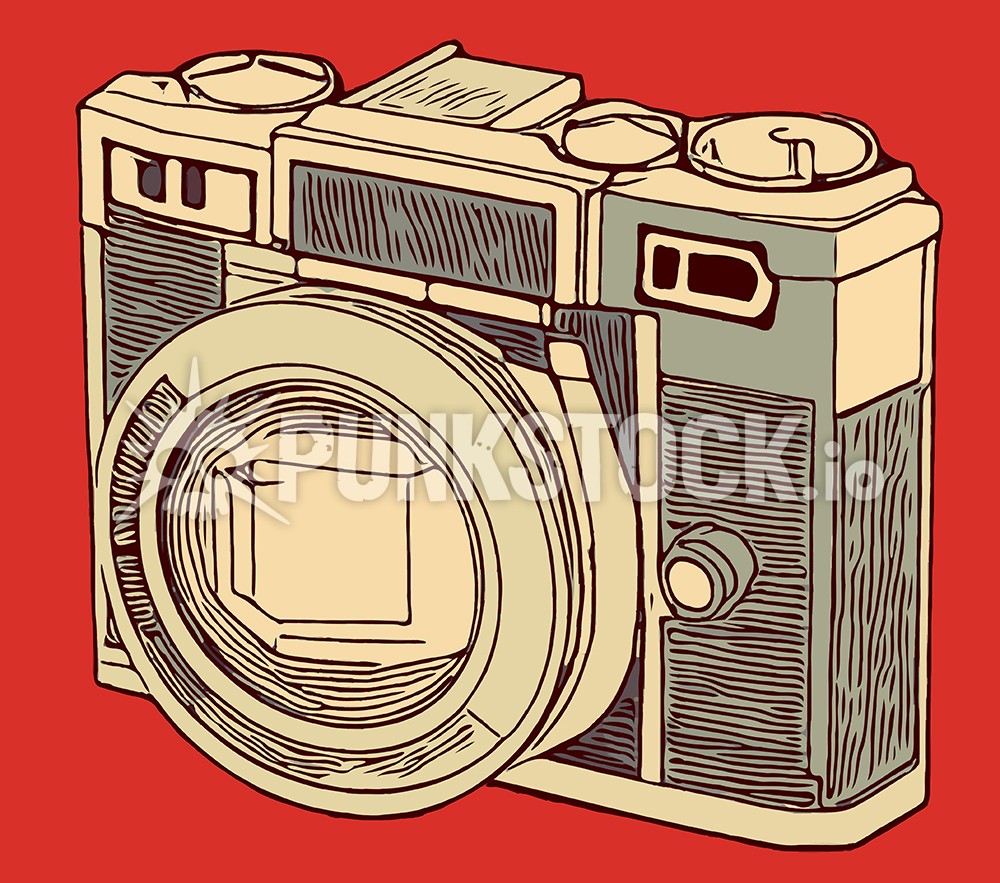 Camera cameras polaroid vector graphic