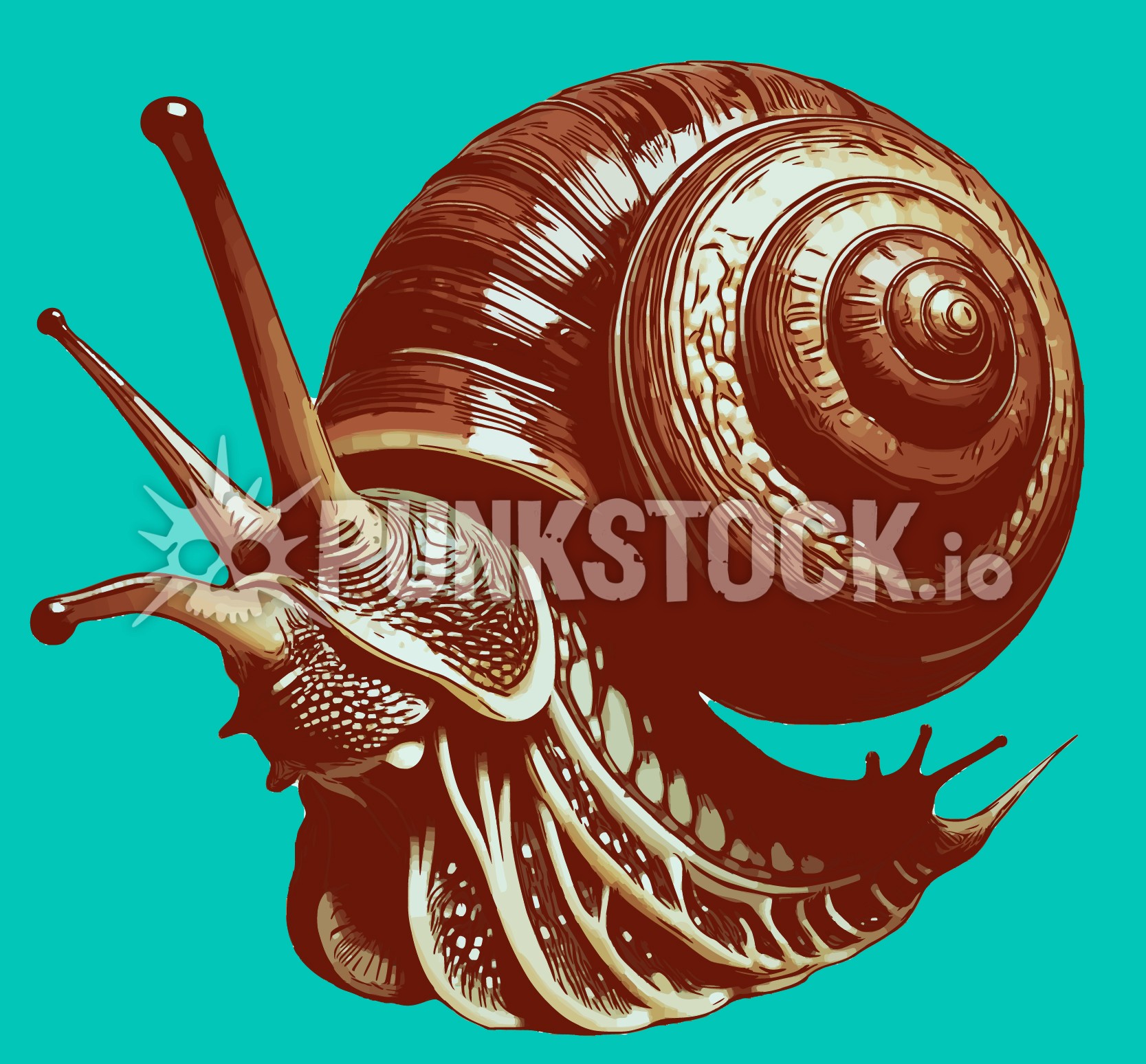 Snail snails slug vector graphic