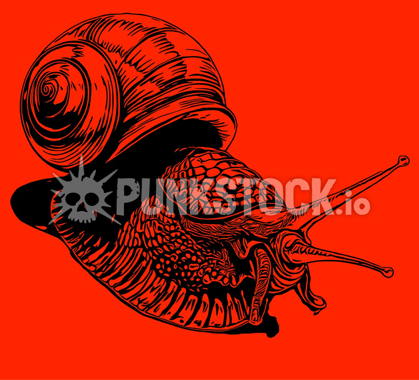 Slug slugs snail vector graphic