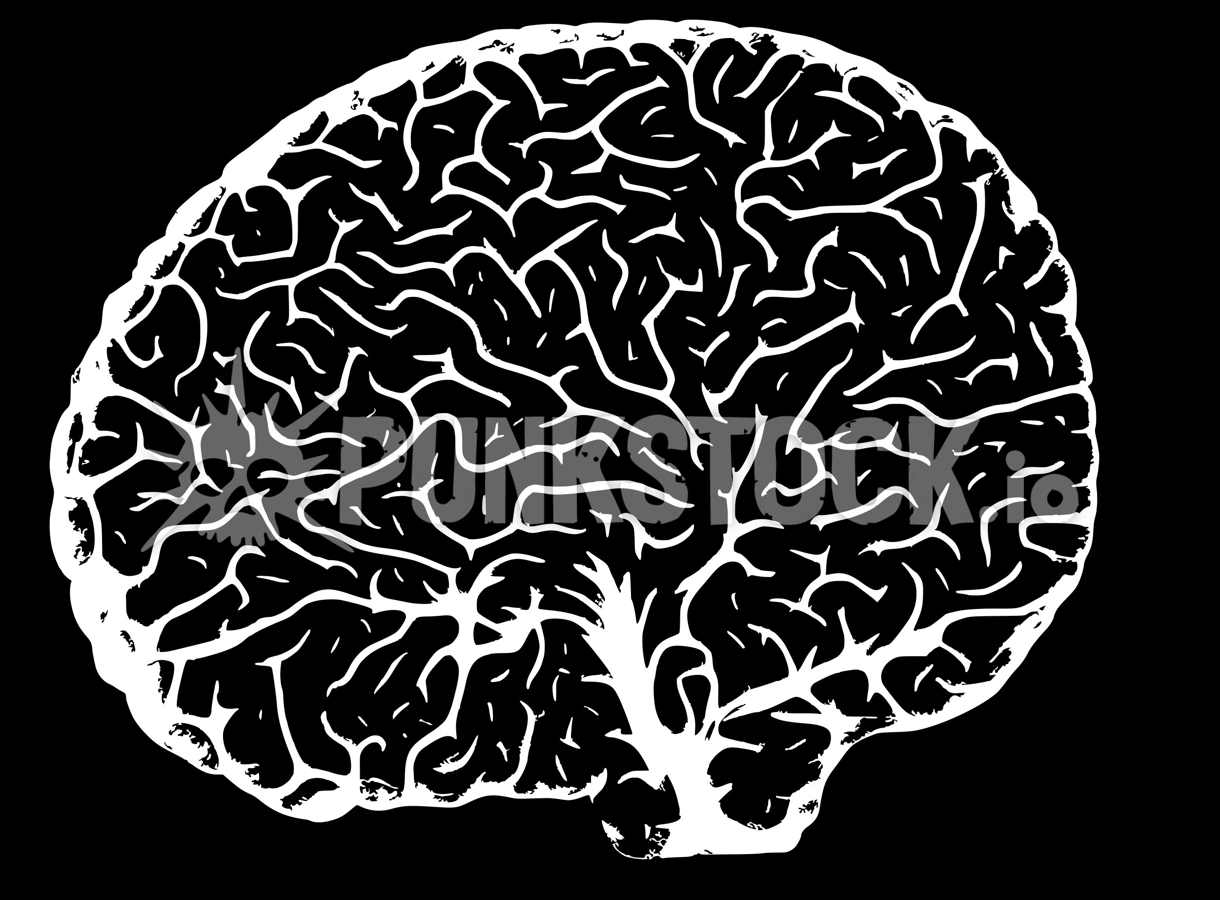 Xray x-ray x ray vector graphic