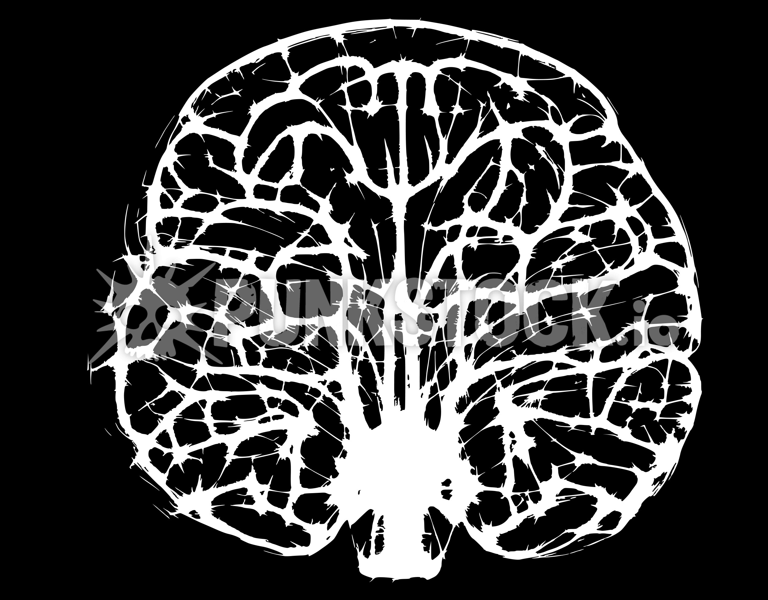 Brain brains neurons vector graphic