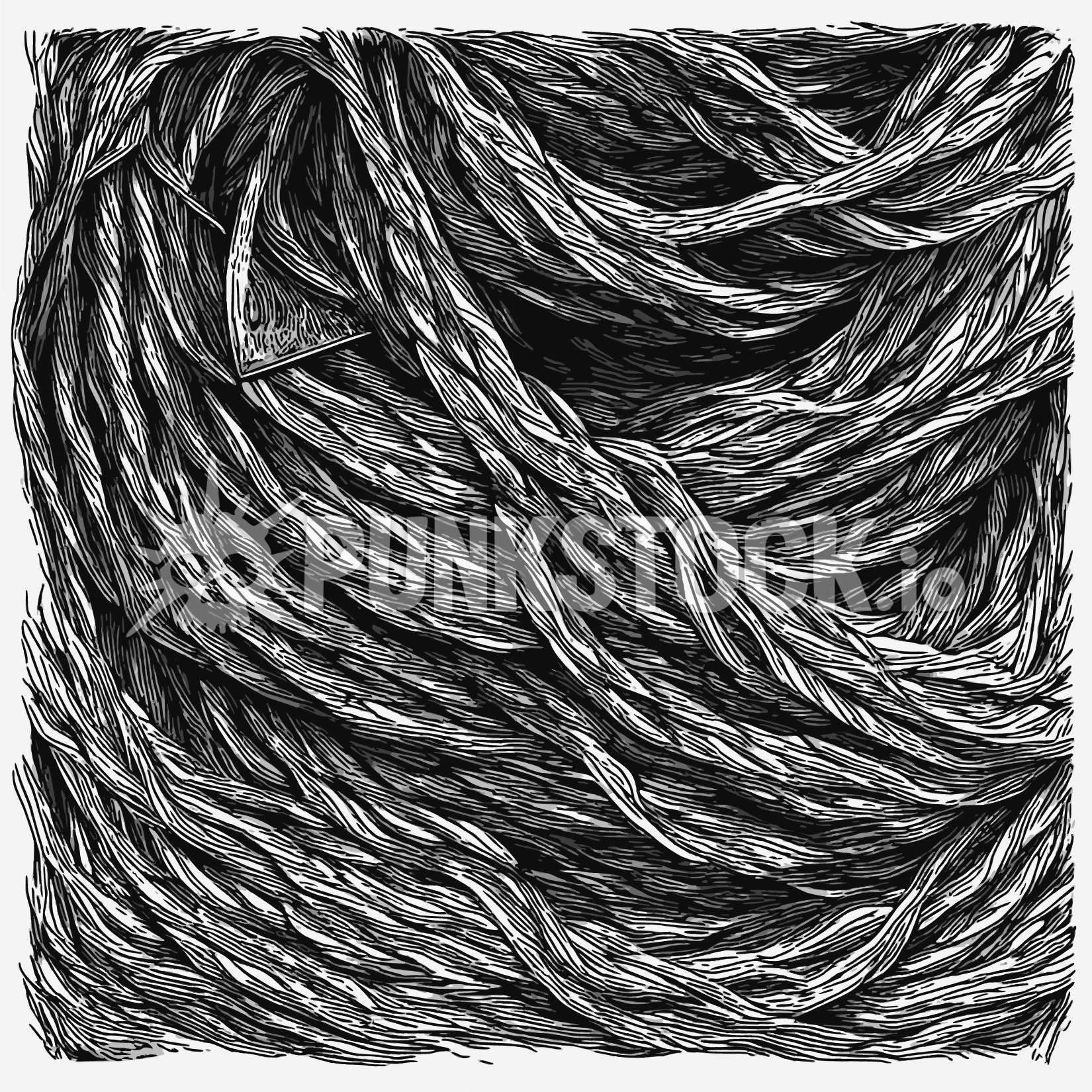 String strings line vector graphic