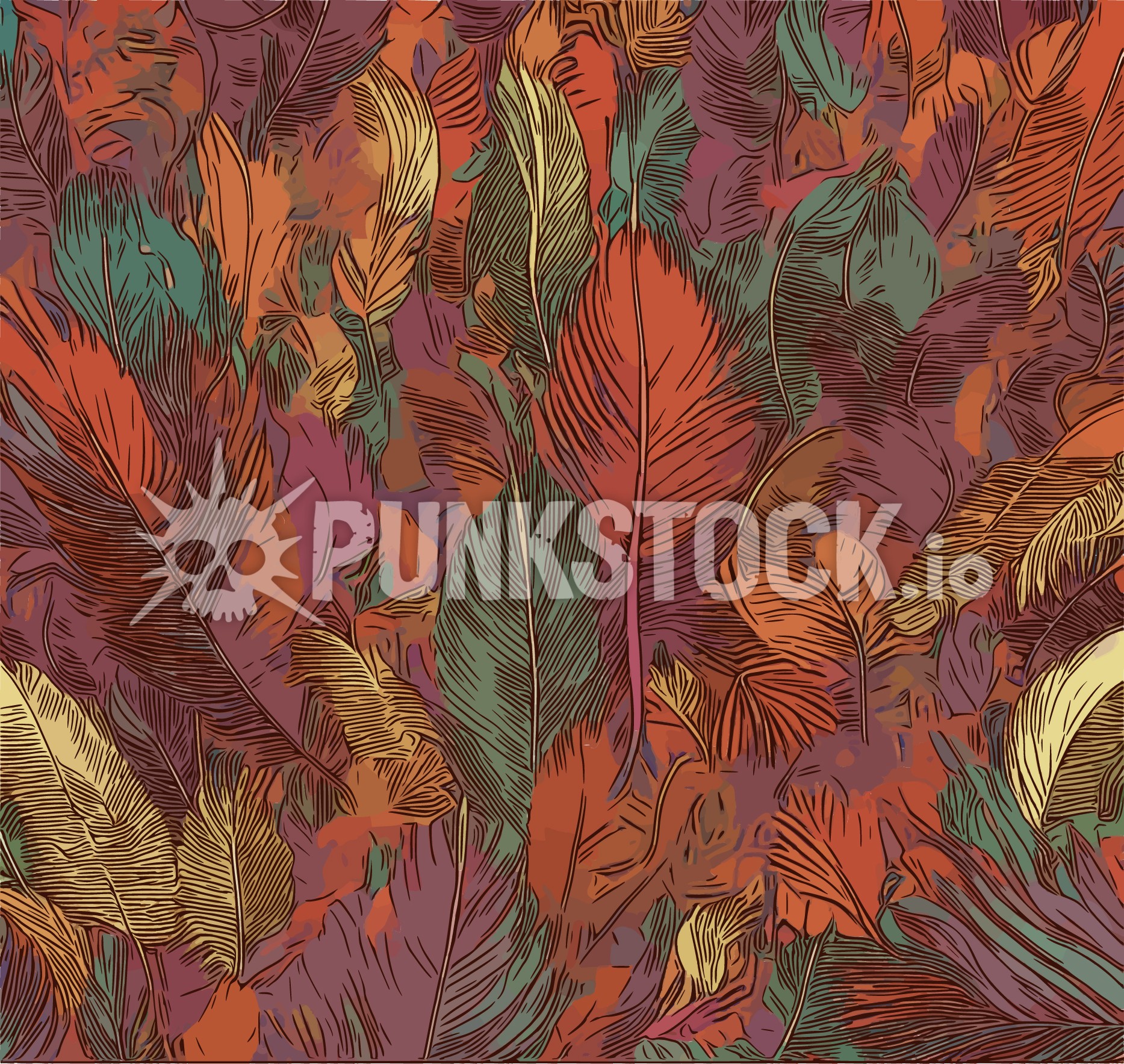Feather feathers delicate vector graphic