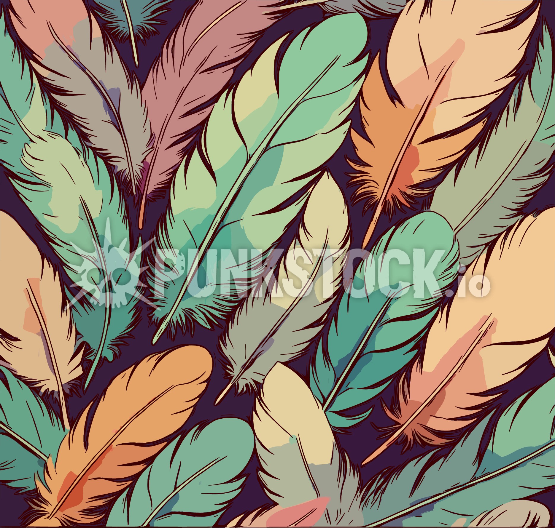 Feather feathers delicate vector graphic