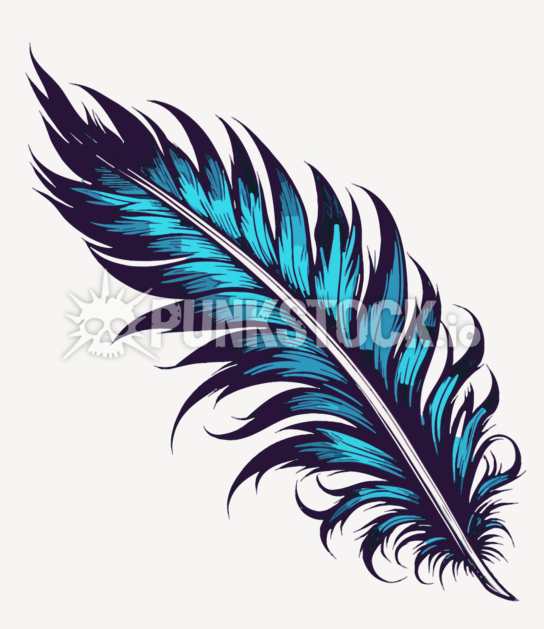 Feather feathers delicate vector graphic