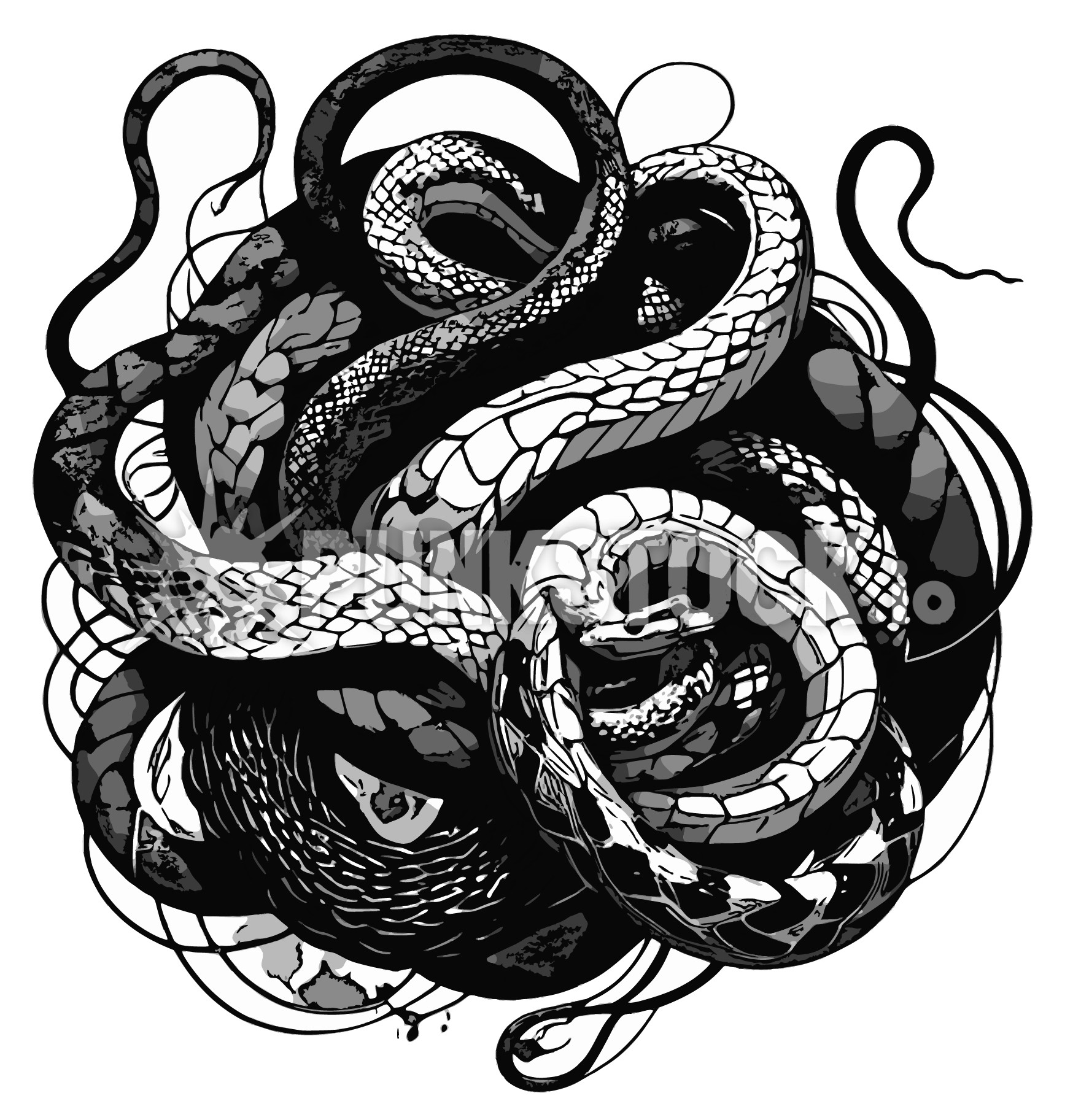 Snake snakes coil vector graphic