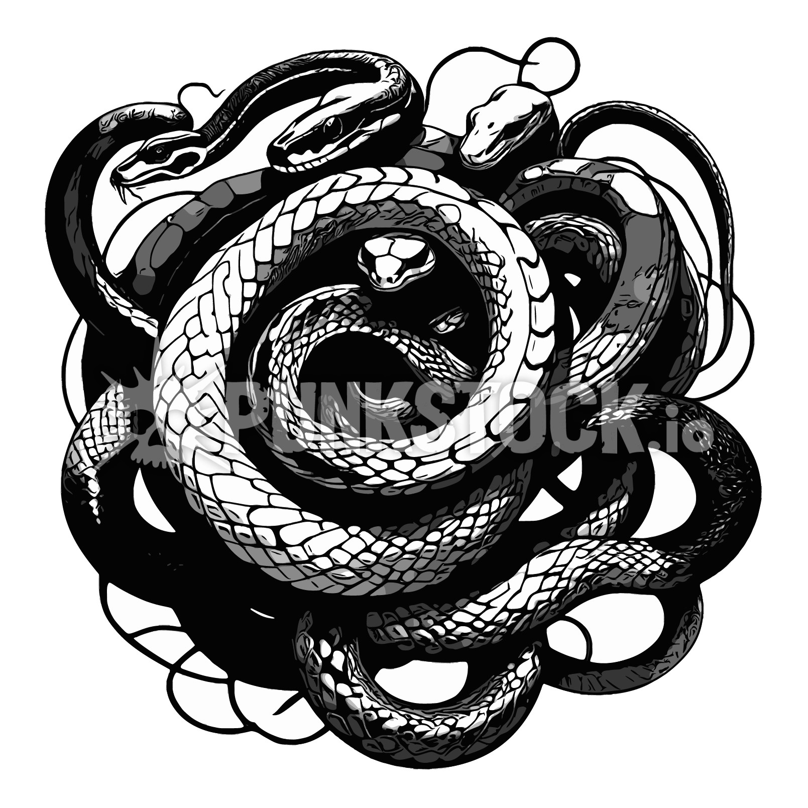 Snake snakes coil vector graphic