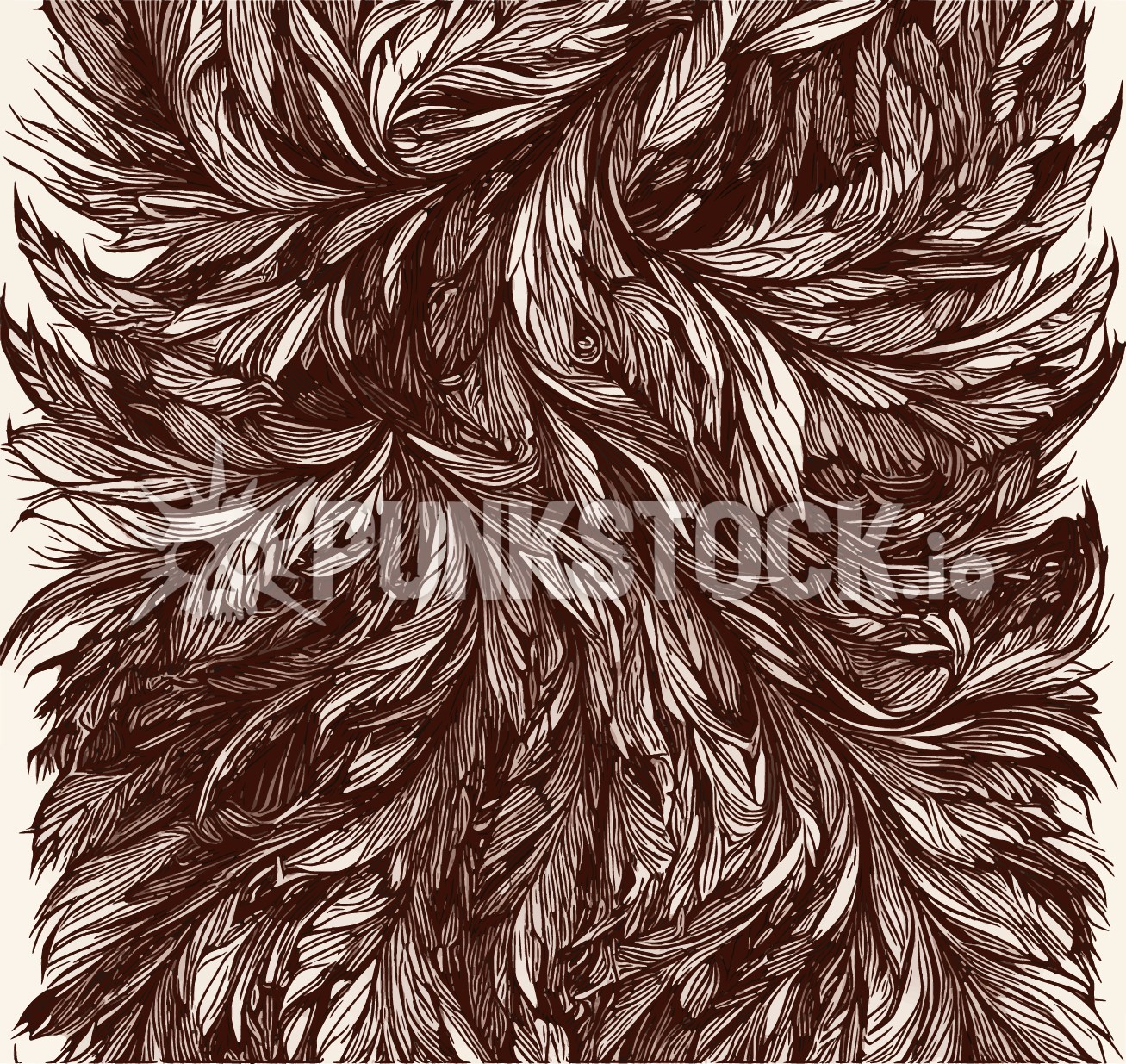 Feather feathers delicate vector graphic