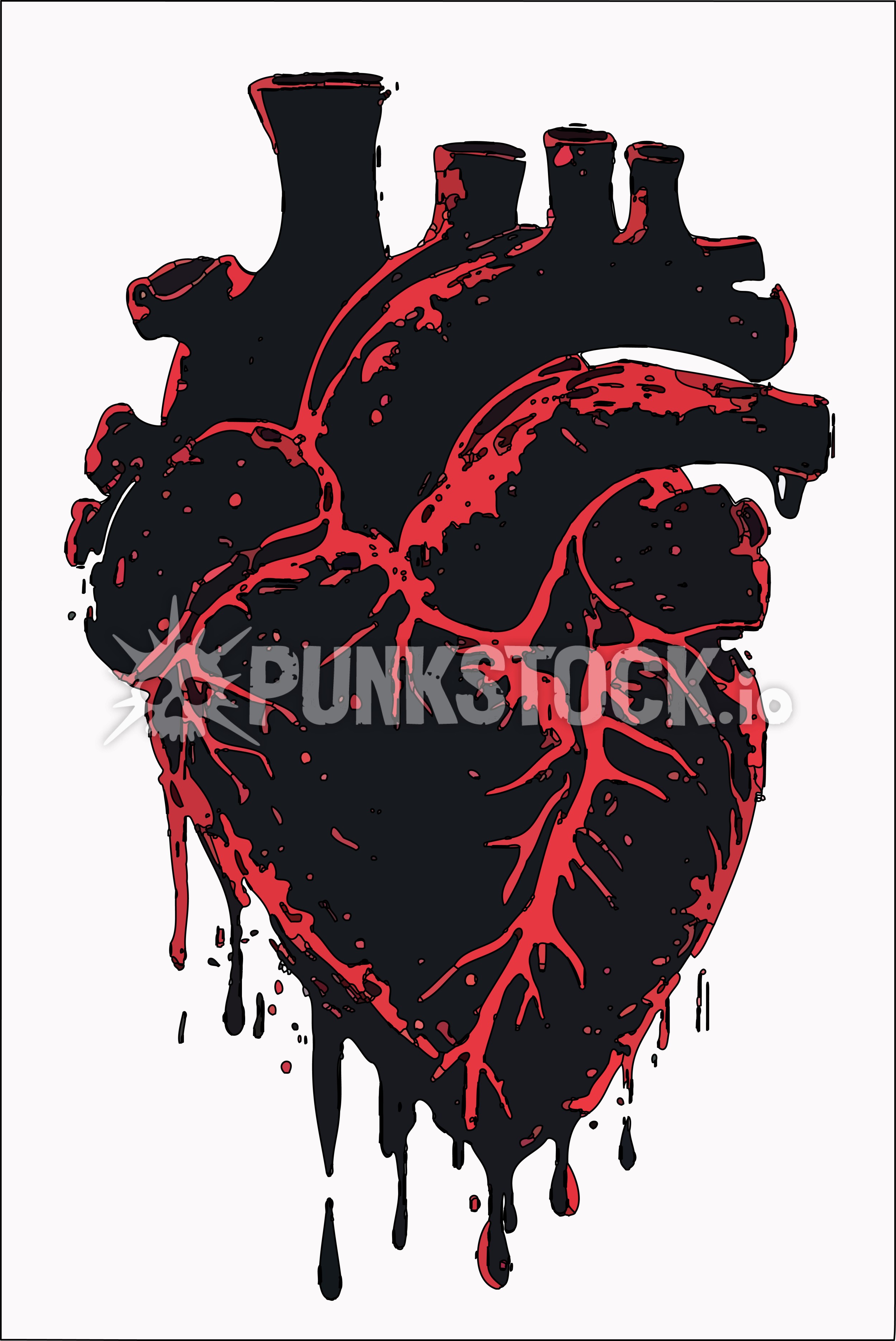Heart biology biological vector graphic