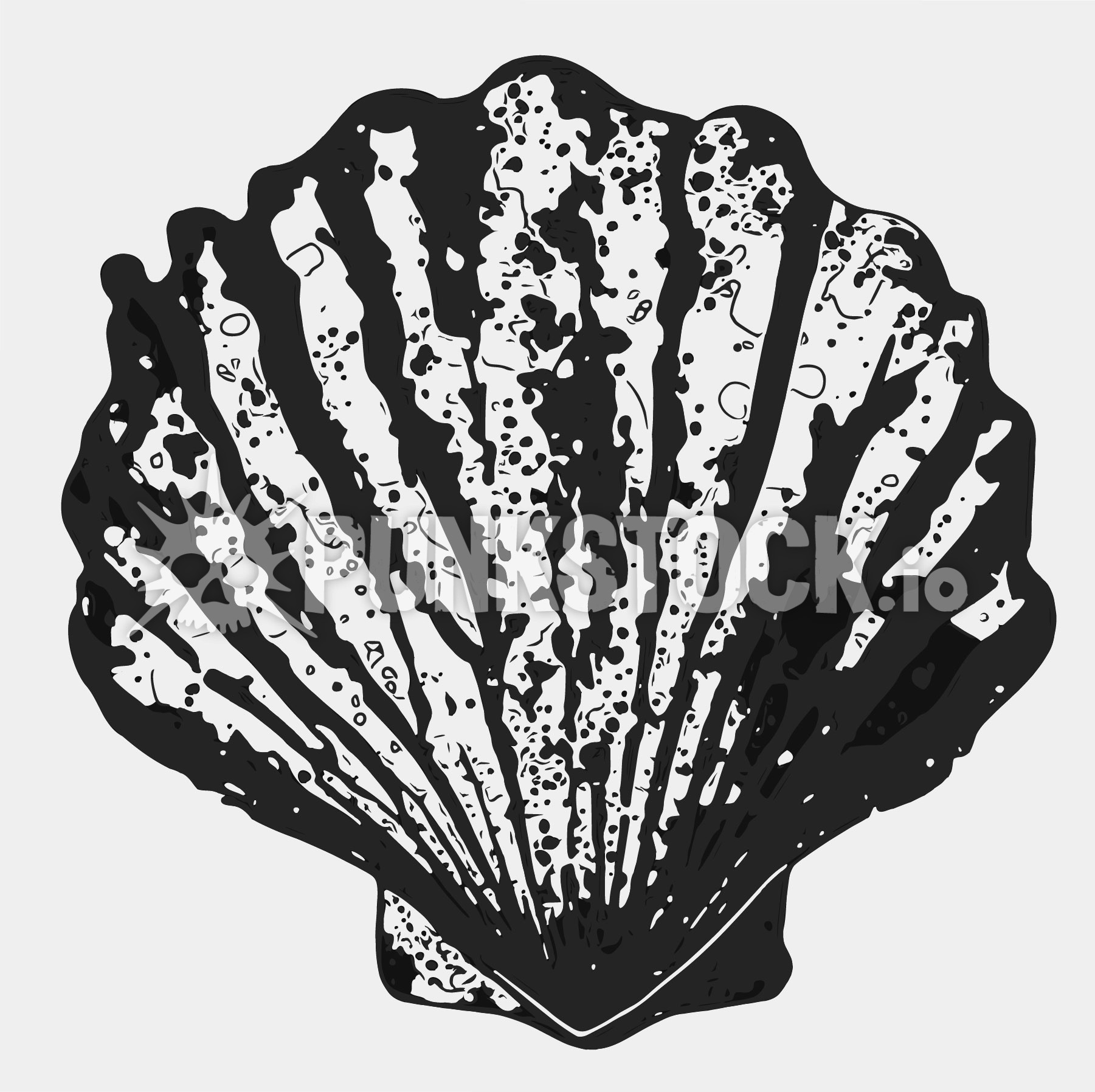 Shell seashell sea vector graphic