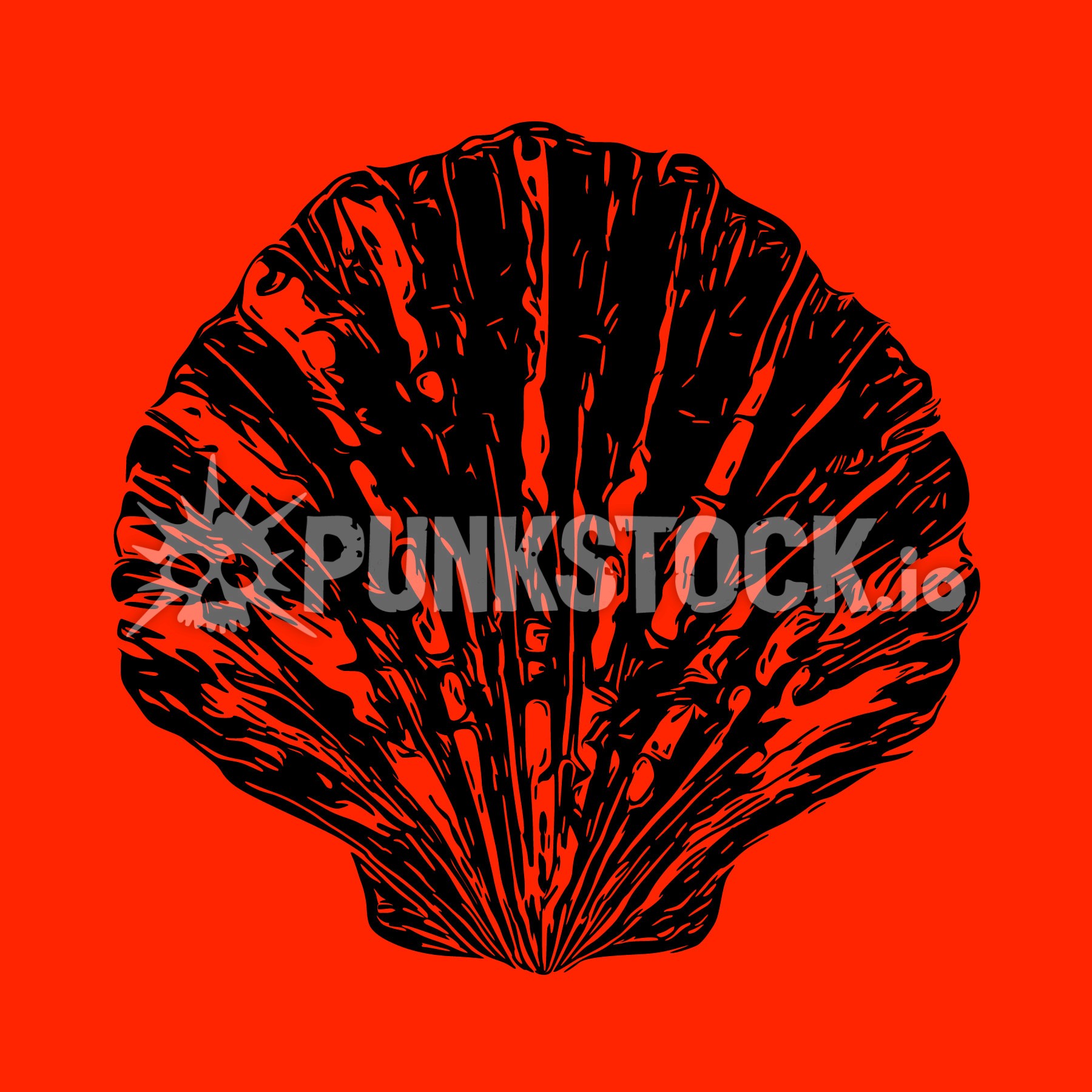 Shell seashell sea vector graphic