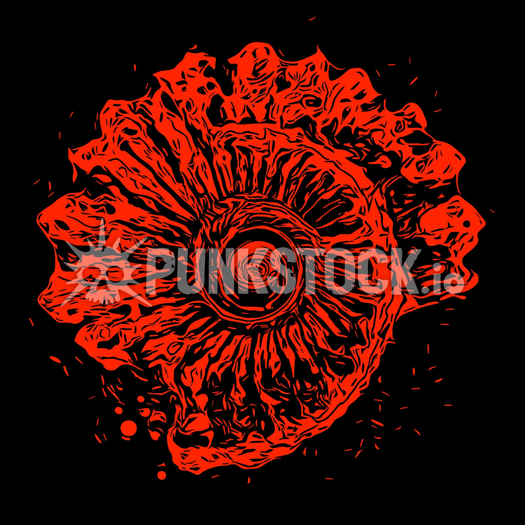 Shell seashell sea vector graphic