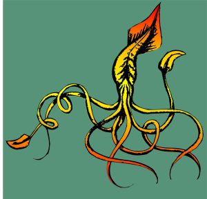 Squid vector graphic