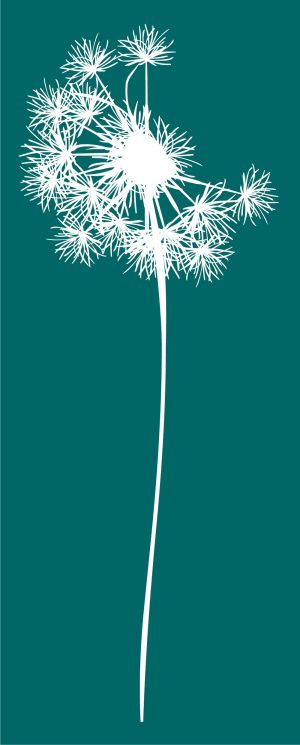 Dandelion vector illustration