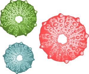 Sketch vector graphic