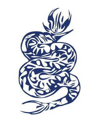 Snake vector graphic