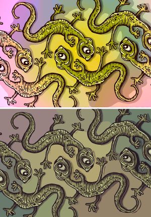 Salamander vector graphic