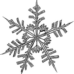 Snowflake vector illustration