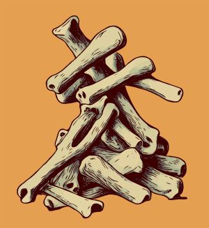 Skull vector graphic