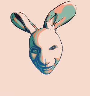 Dony vector graphic
