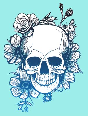 Skull vector graphic