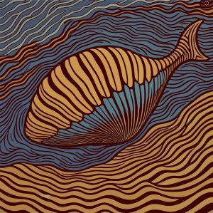 Shell vector graphic