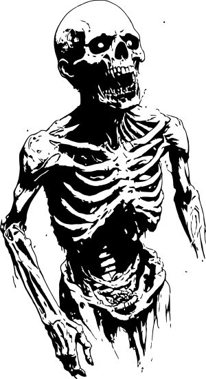 Zombie vector graphic